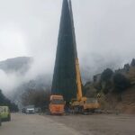 Το ψηλότερο χριστουγεννιάτικο δέντρο στήν Ευρώπη ύψους 45 μέτρων στόν Ομαλό στήν είσοδο τού φαραγγιού Σαμαριάς!!